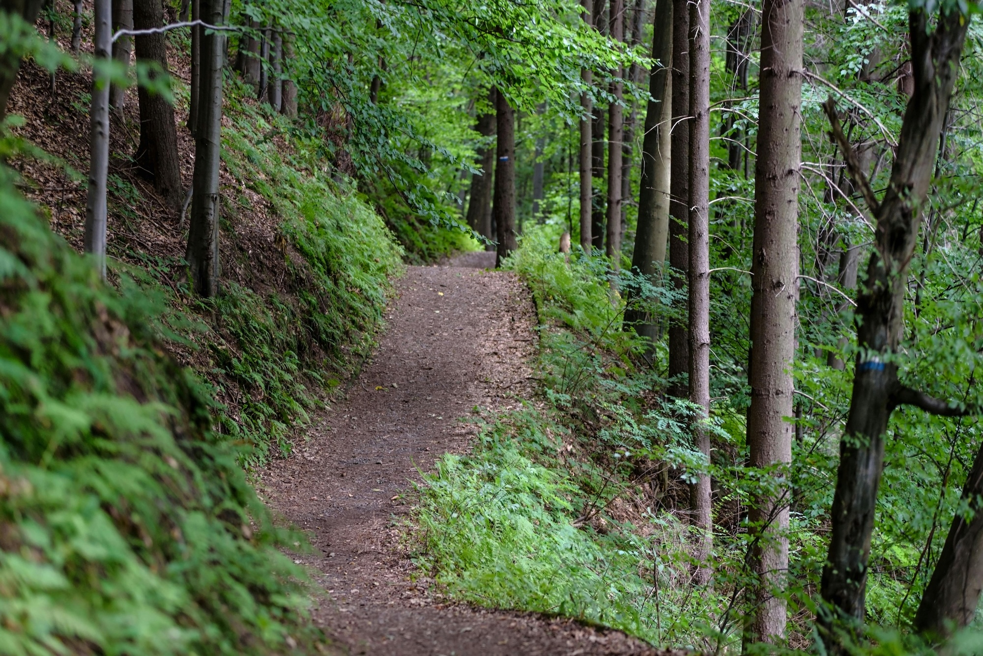 poconos hiking guide